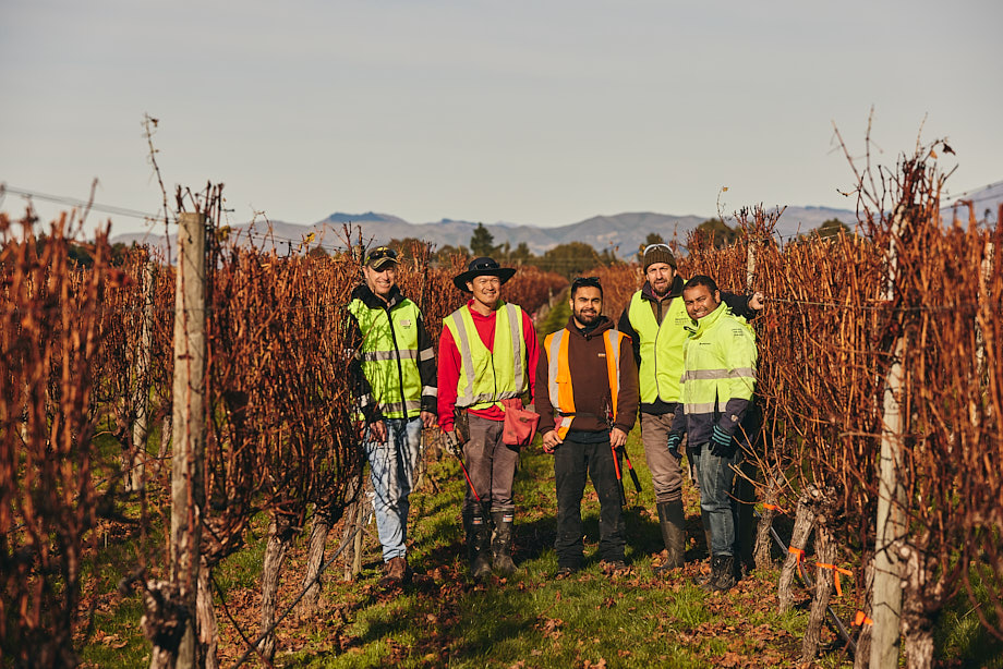 Pruning trial  group