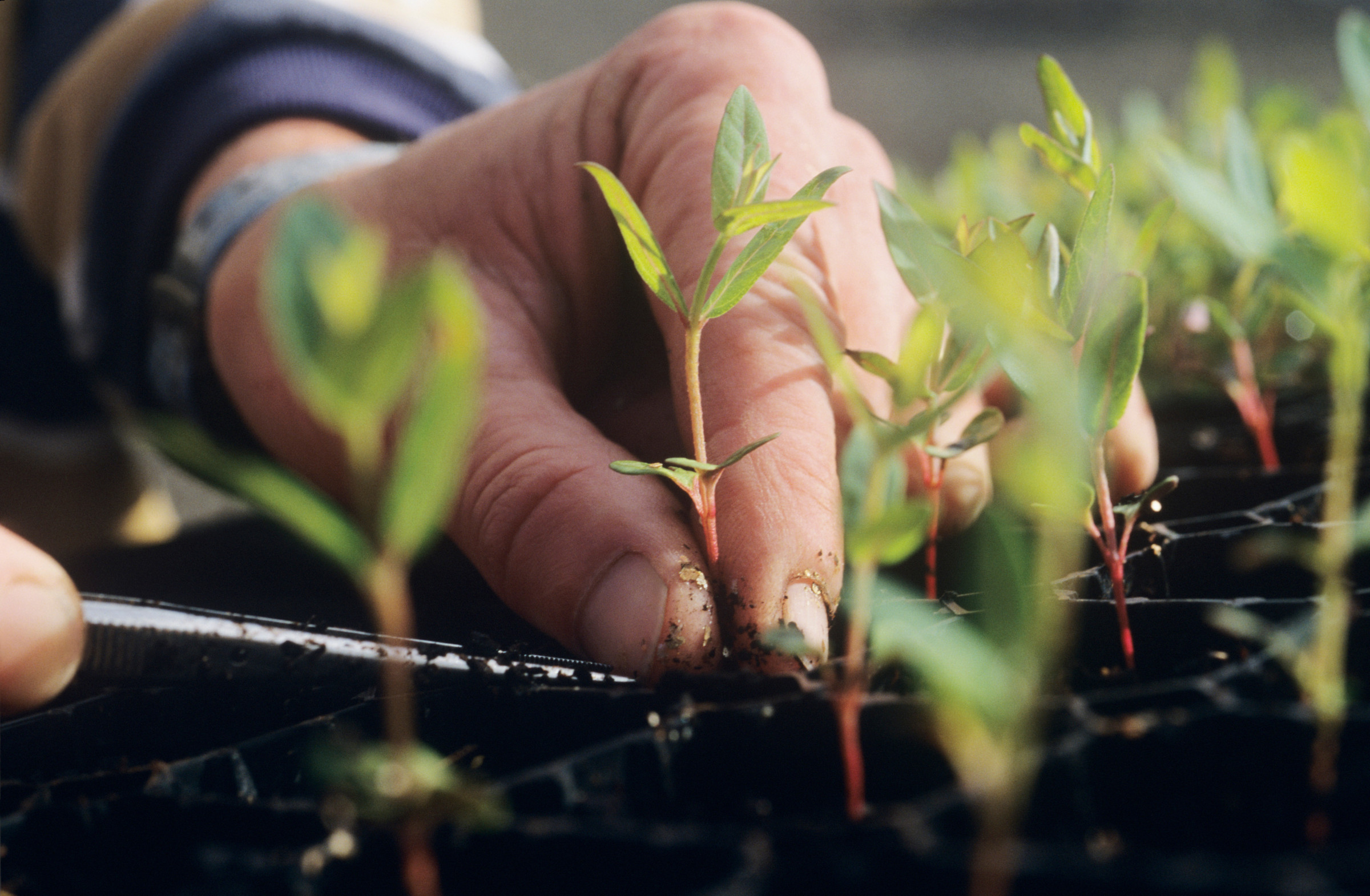 Propagating