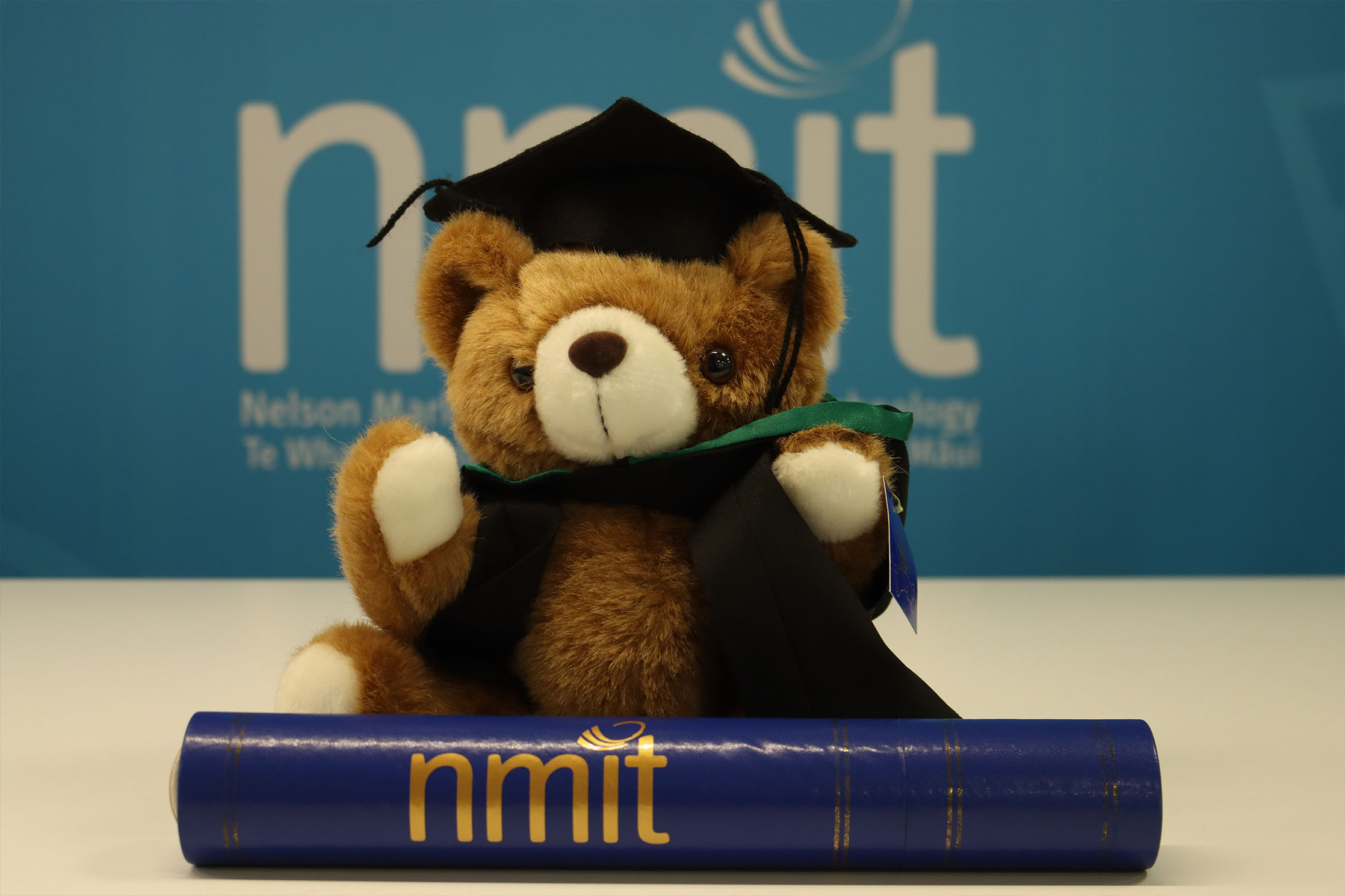 grad bear